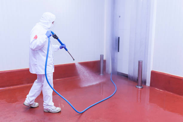 Best Roof Washing  in Lantana, TX